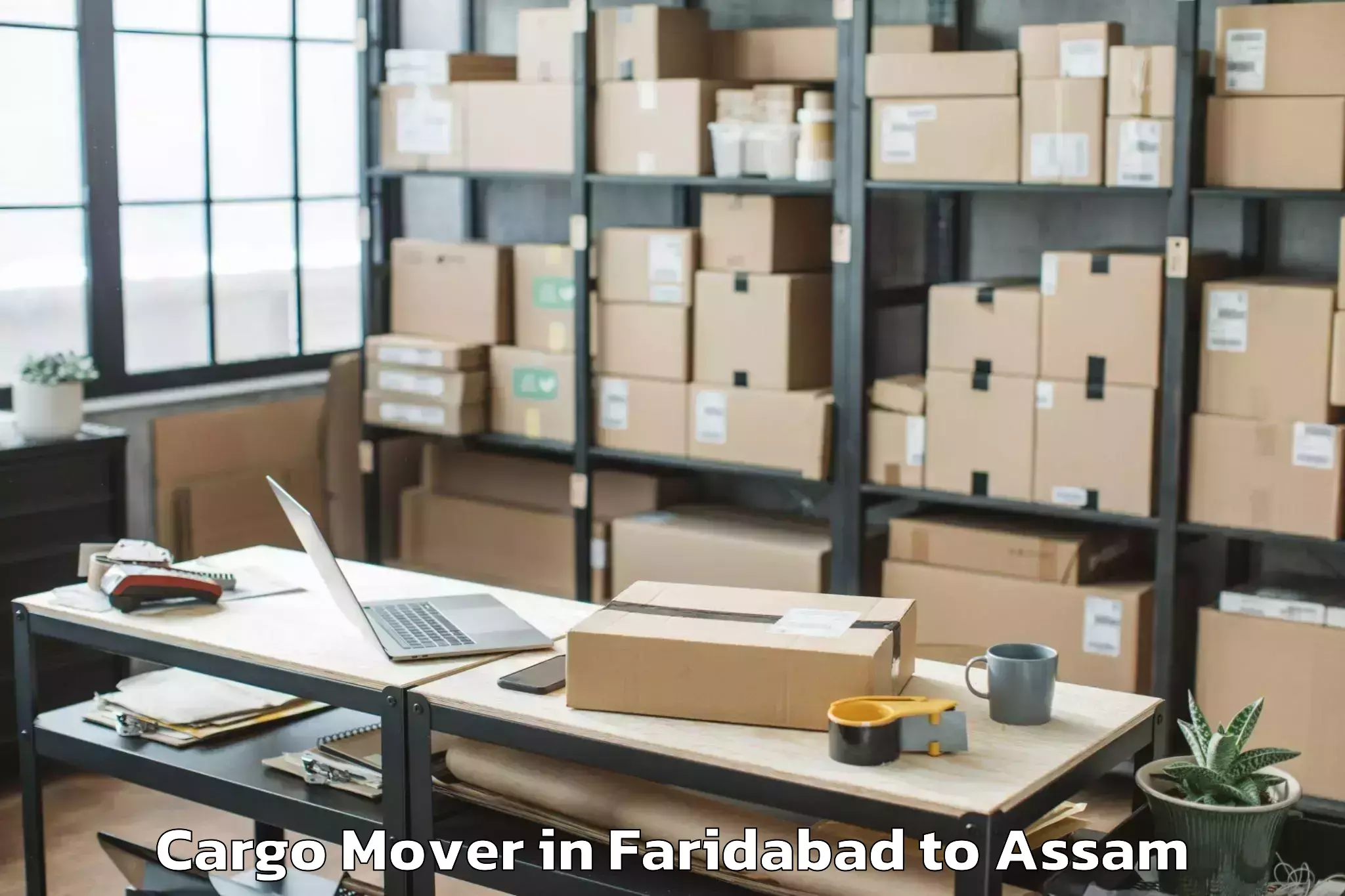 Book Faridabad to Dokmoka Cargo Mover Online